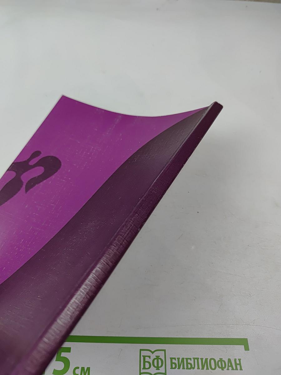 Русский язык. Синтаксис сложноподчиненного предложения