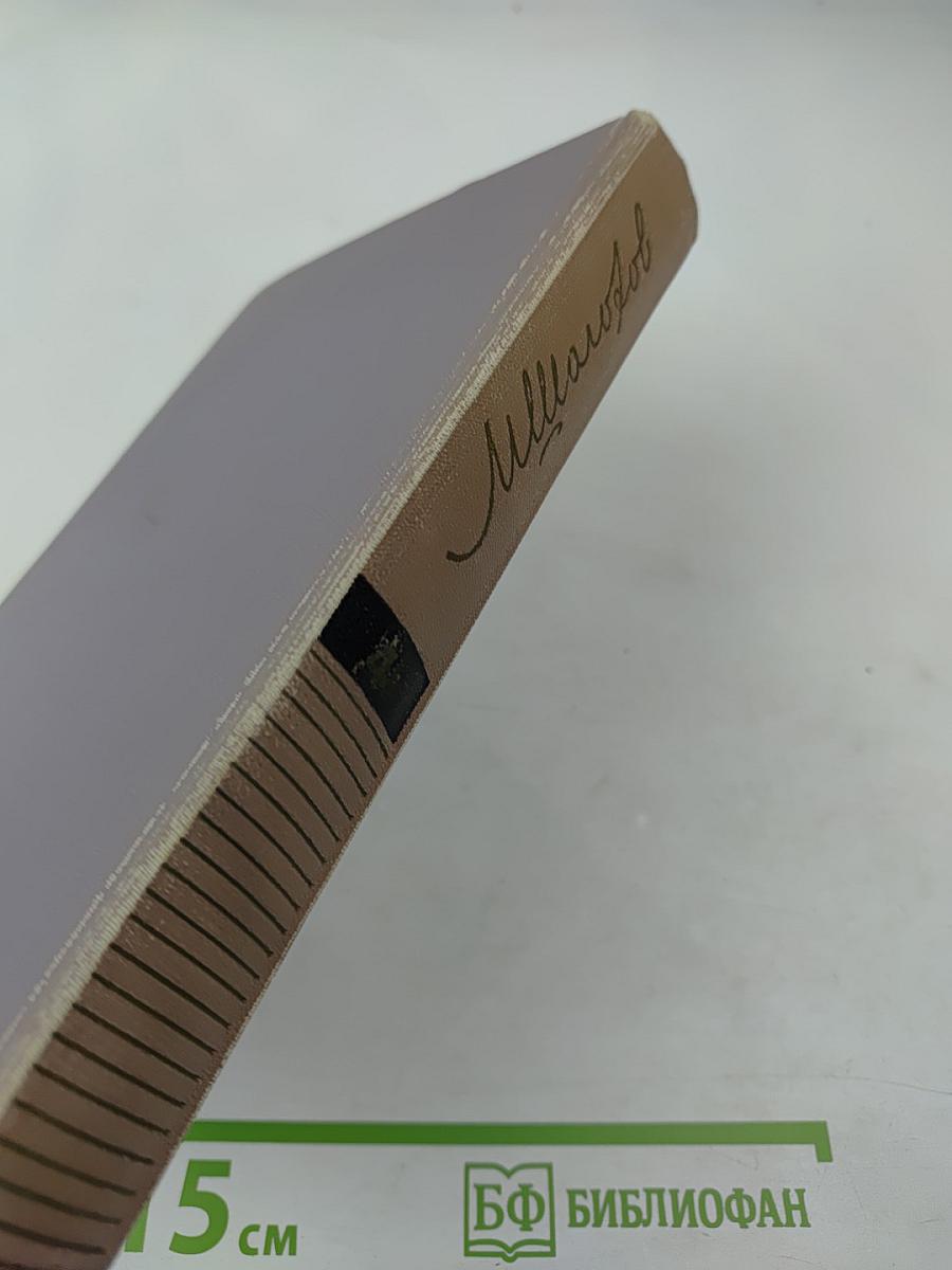 Тихий Дон. Книга третья. Собрание сочинений. Том четвертый