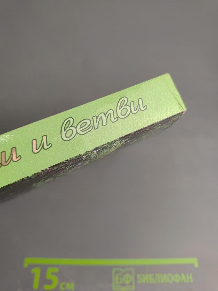 Корни и ветви