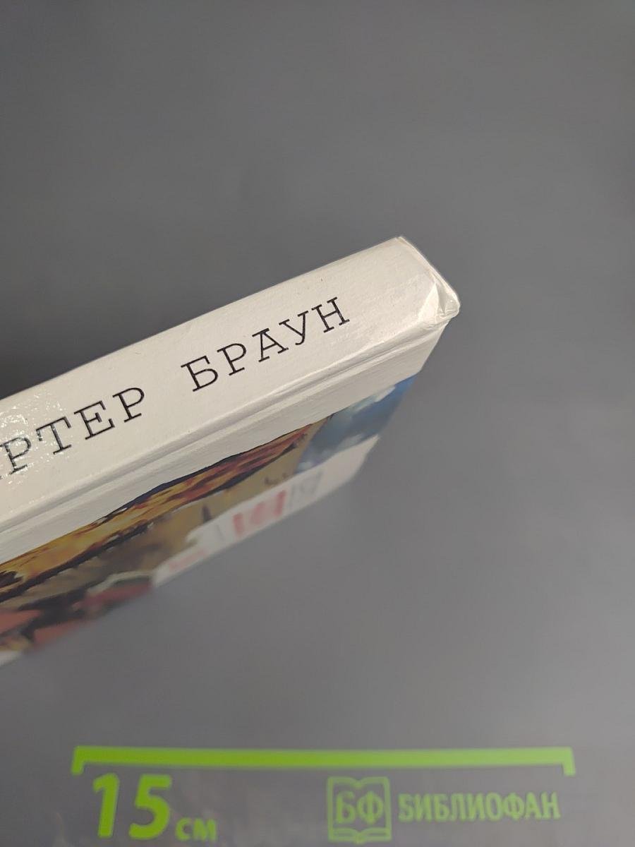 Большое сафари