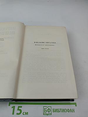 Емельян Пугачев. Книга третья