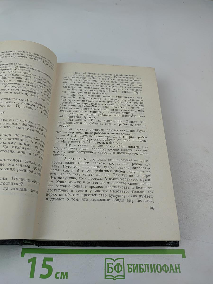 Емельян Пугачев. Книга третья