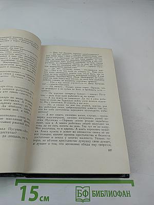 Емельян Пугачев. Книга третья