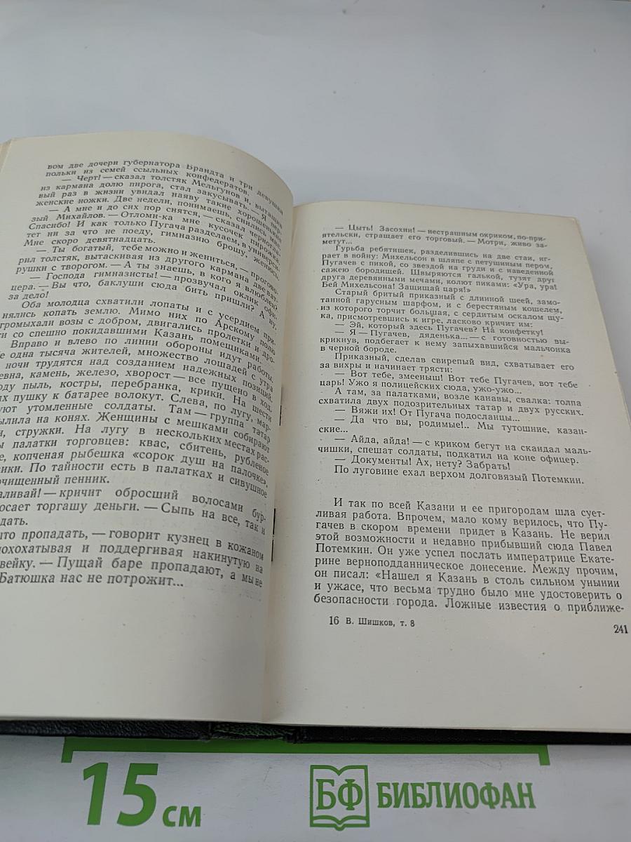 Емельян Пугачев. Книга третья