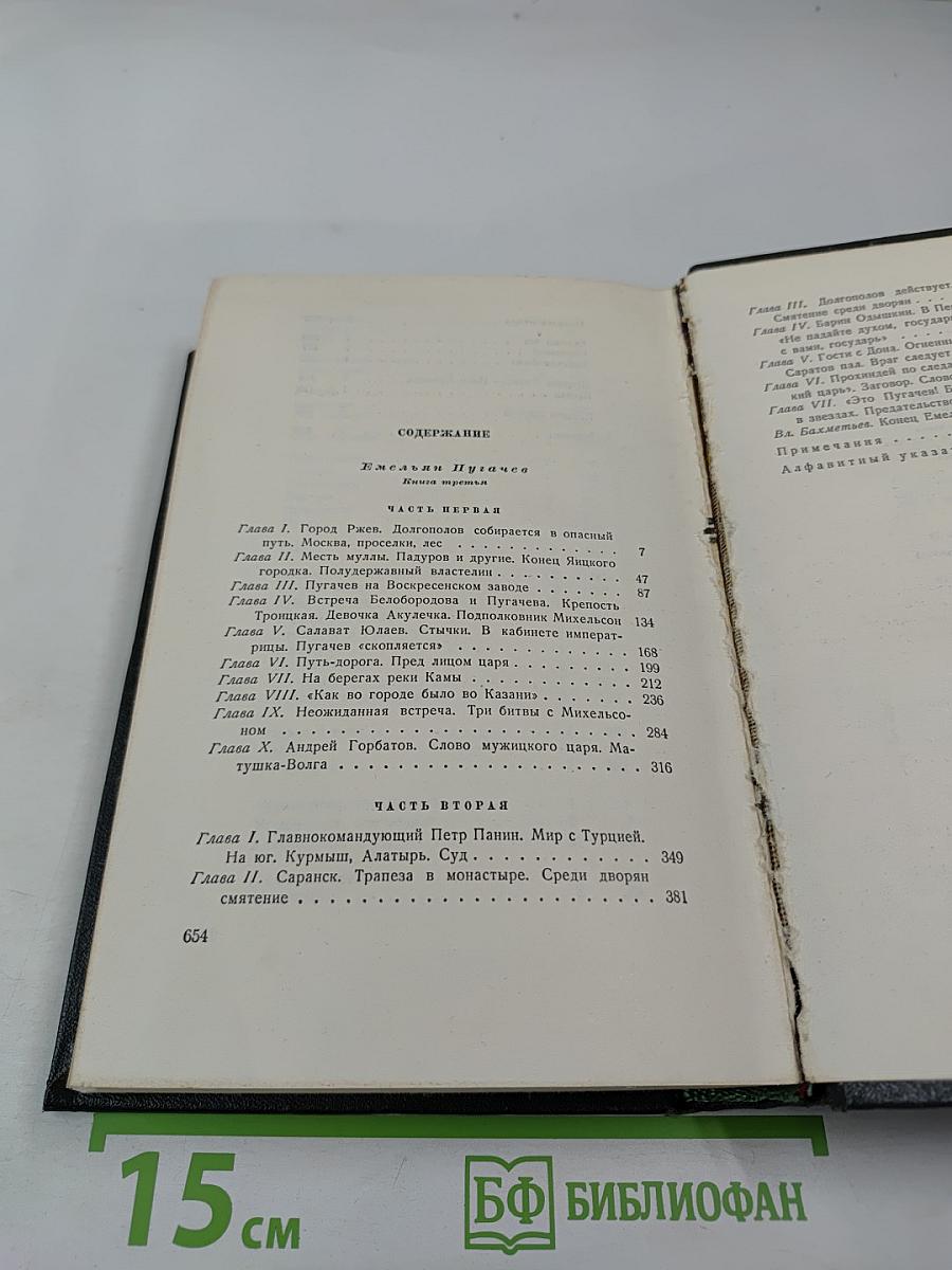 Емельян Пугачев. Книга третья