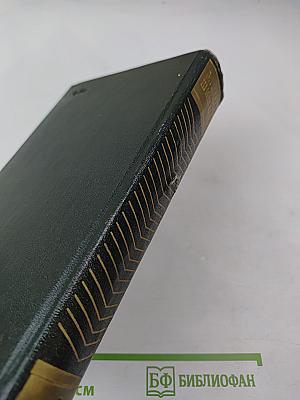 Емельян Пугачев. Книга третья