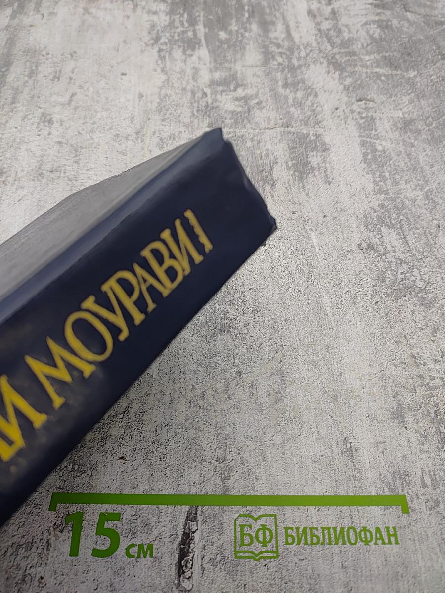 Великий Моурави. Книга пятая. Базалетский бой