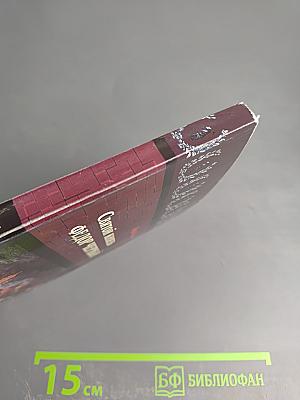 Святой князь Федор Черный