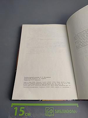 Дело о наезде. Долгая воскресная ночь