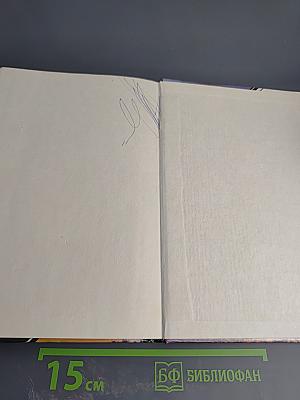 Дело о наезде. Долгая воскресная ночь