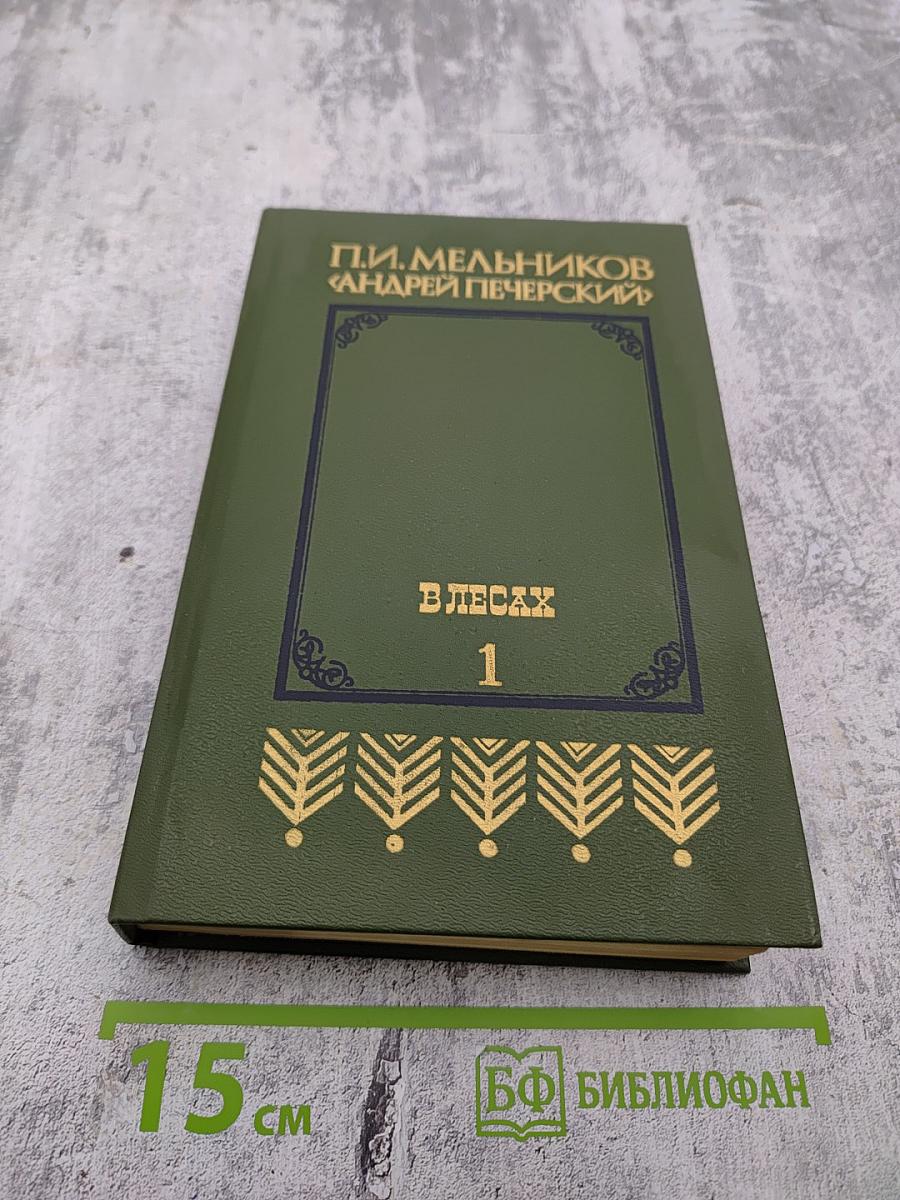 В лесах. Книга первая