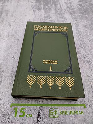 В лесах. Книга первая