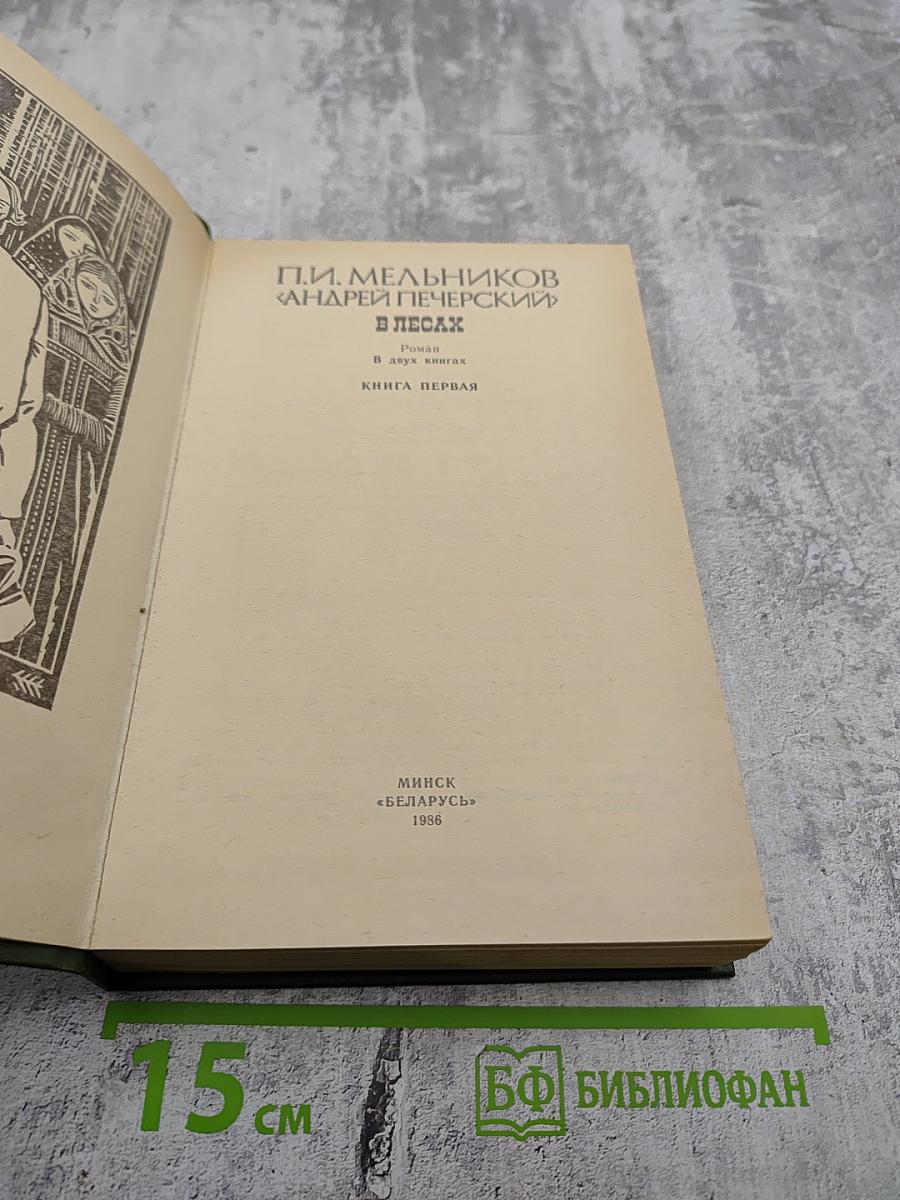 В лесах. Книга первая