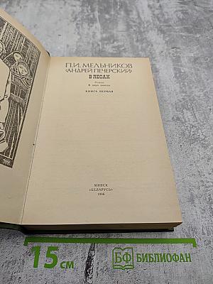 В лесах. Книга первая