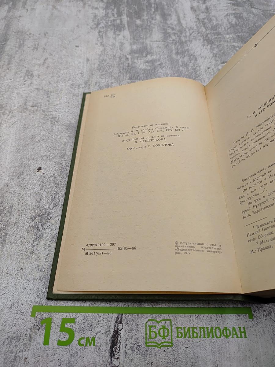 В лесах. Книга первая