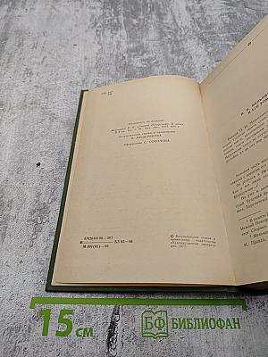 В лесах. Книга первая