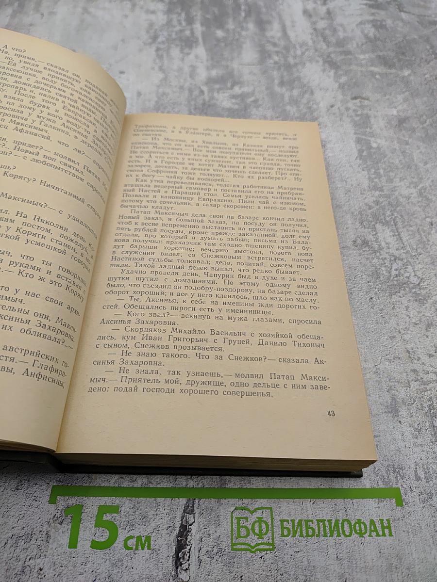 В лесах. Книга первая