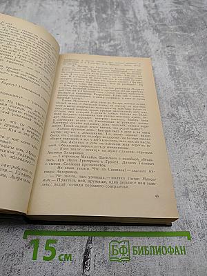 В лесах. Книга первая