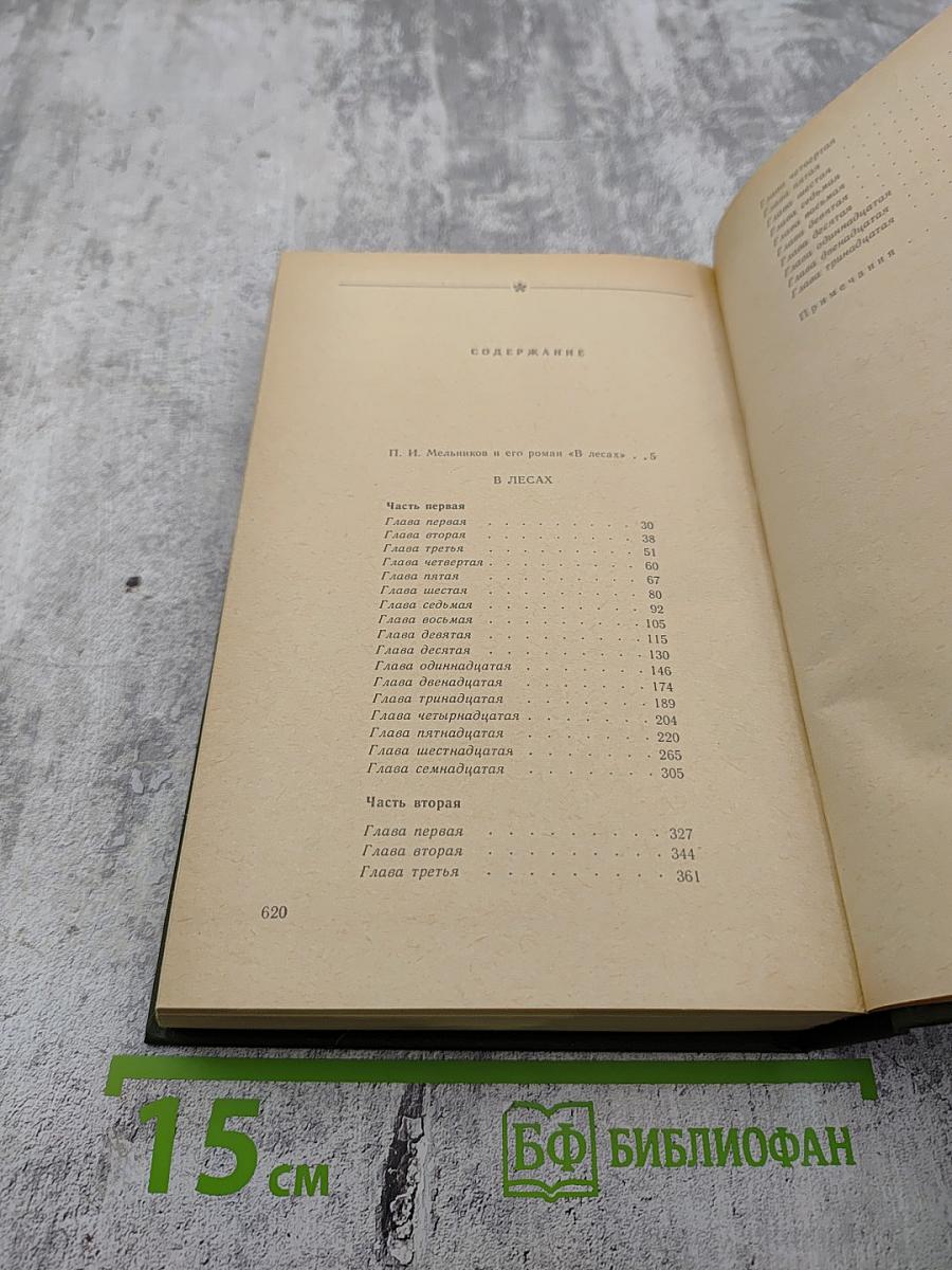 В лесах. Книга первая