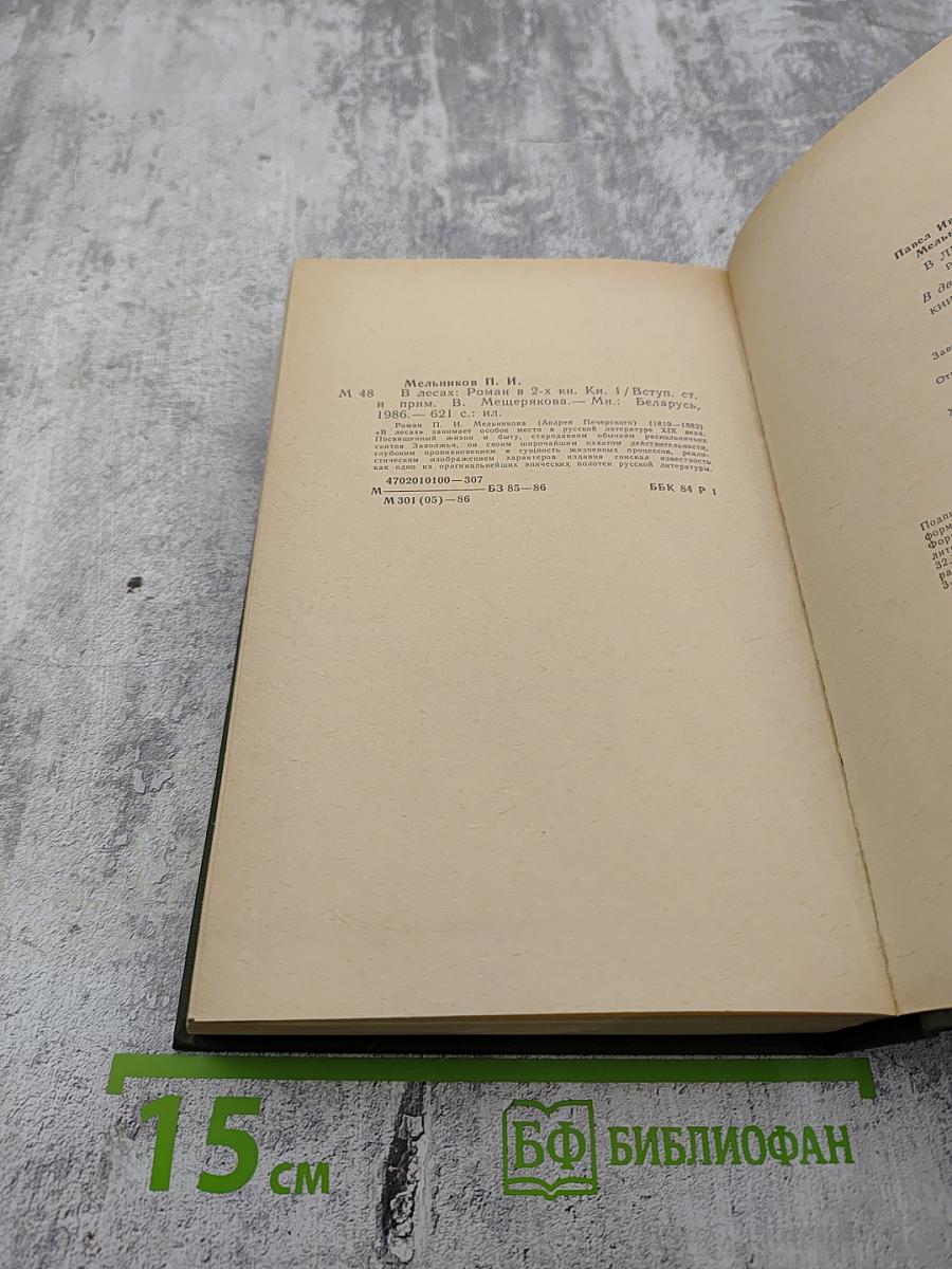 В лесах. Книга первая