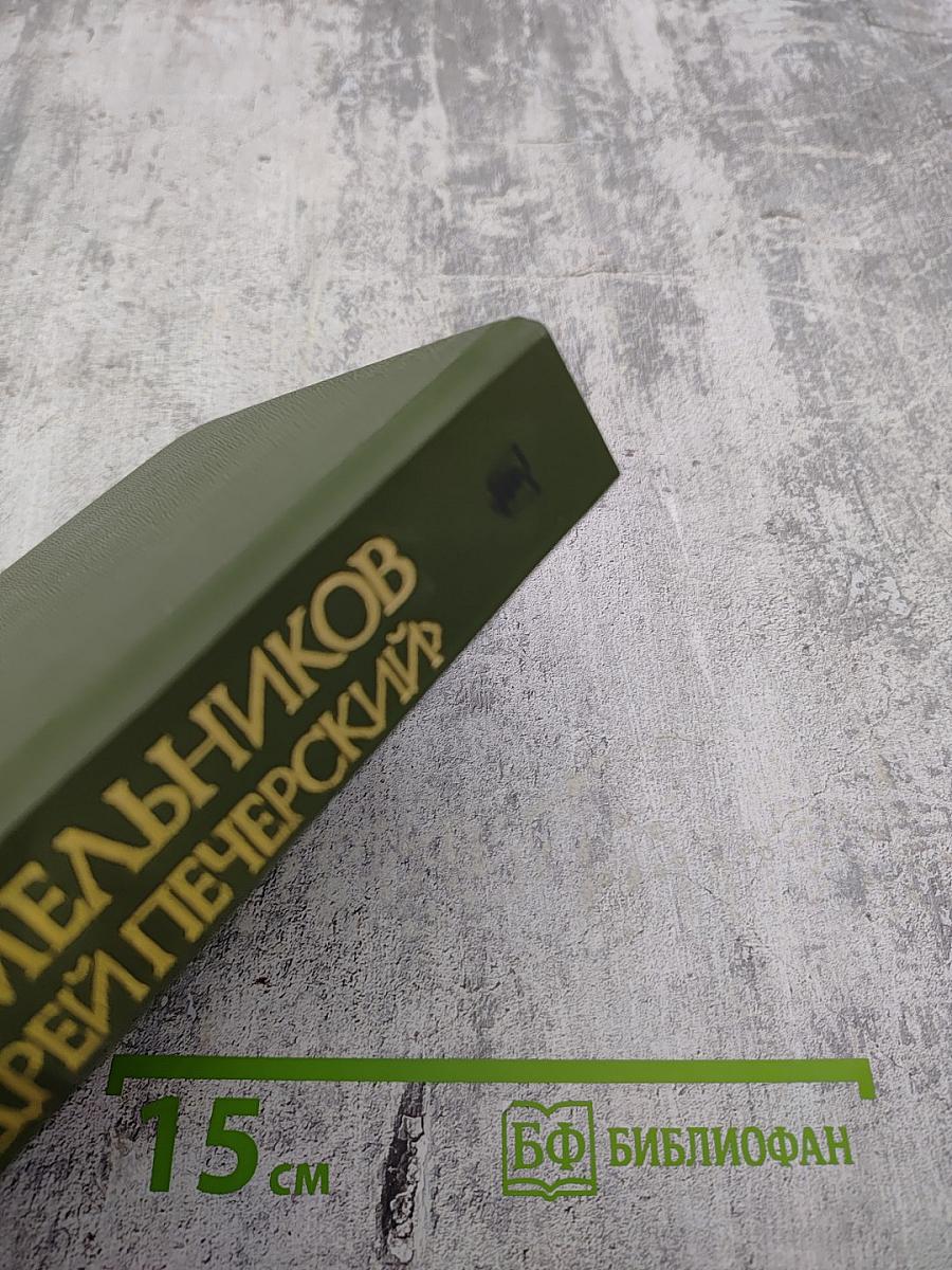 В лесах. Книга первая