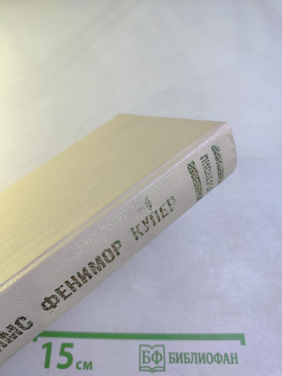 Пионеры, или У истоков Саскуйханны