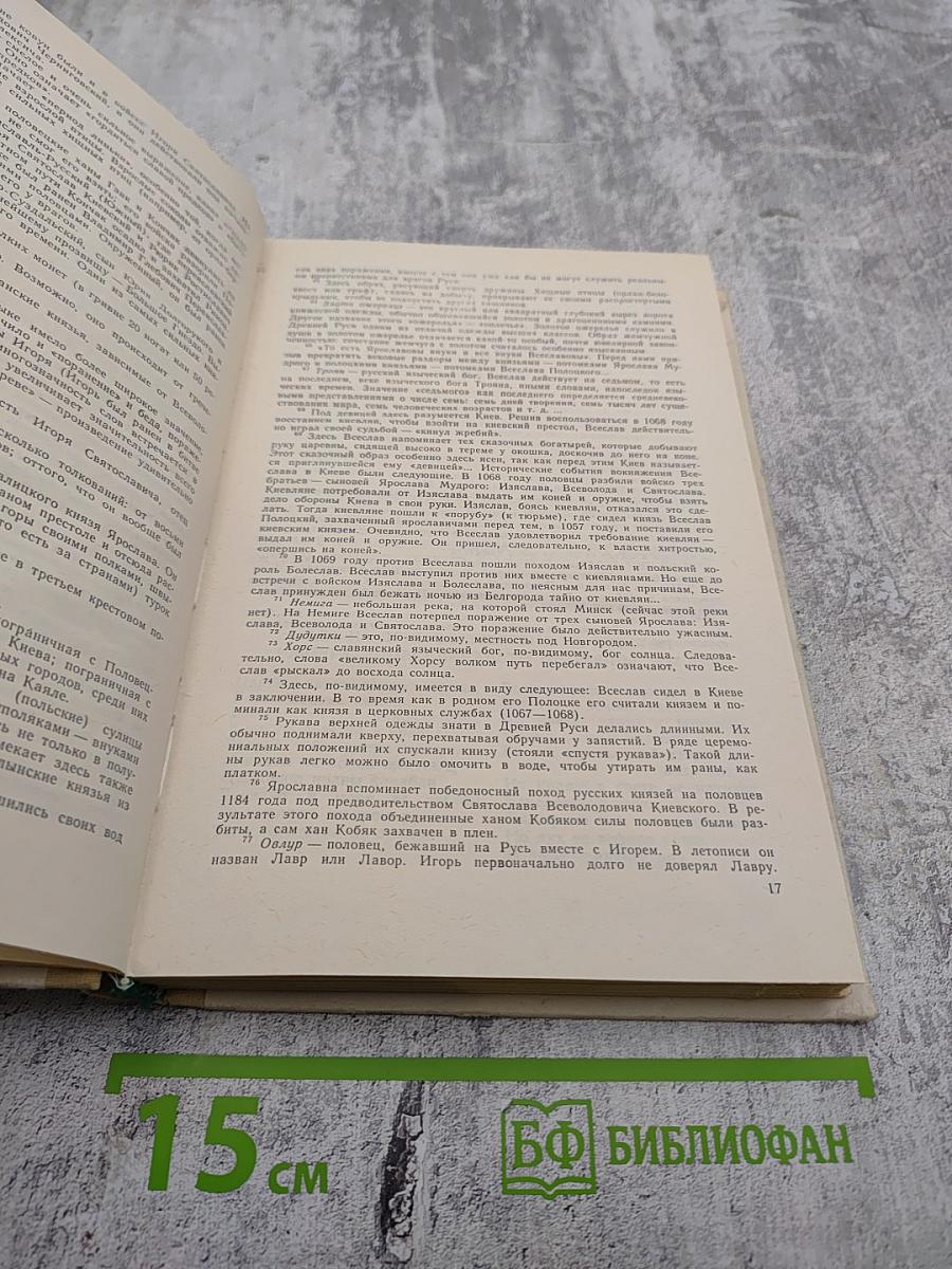 Русская литература. Хрестоматия для 8 класса средней школы. Часть I