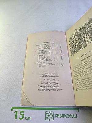 Серебряная кошка или путешествие по Америке