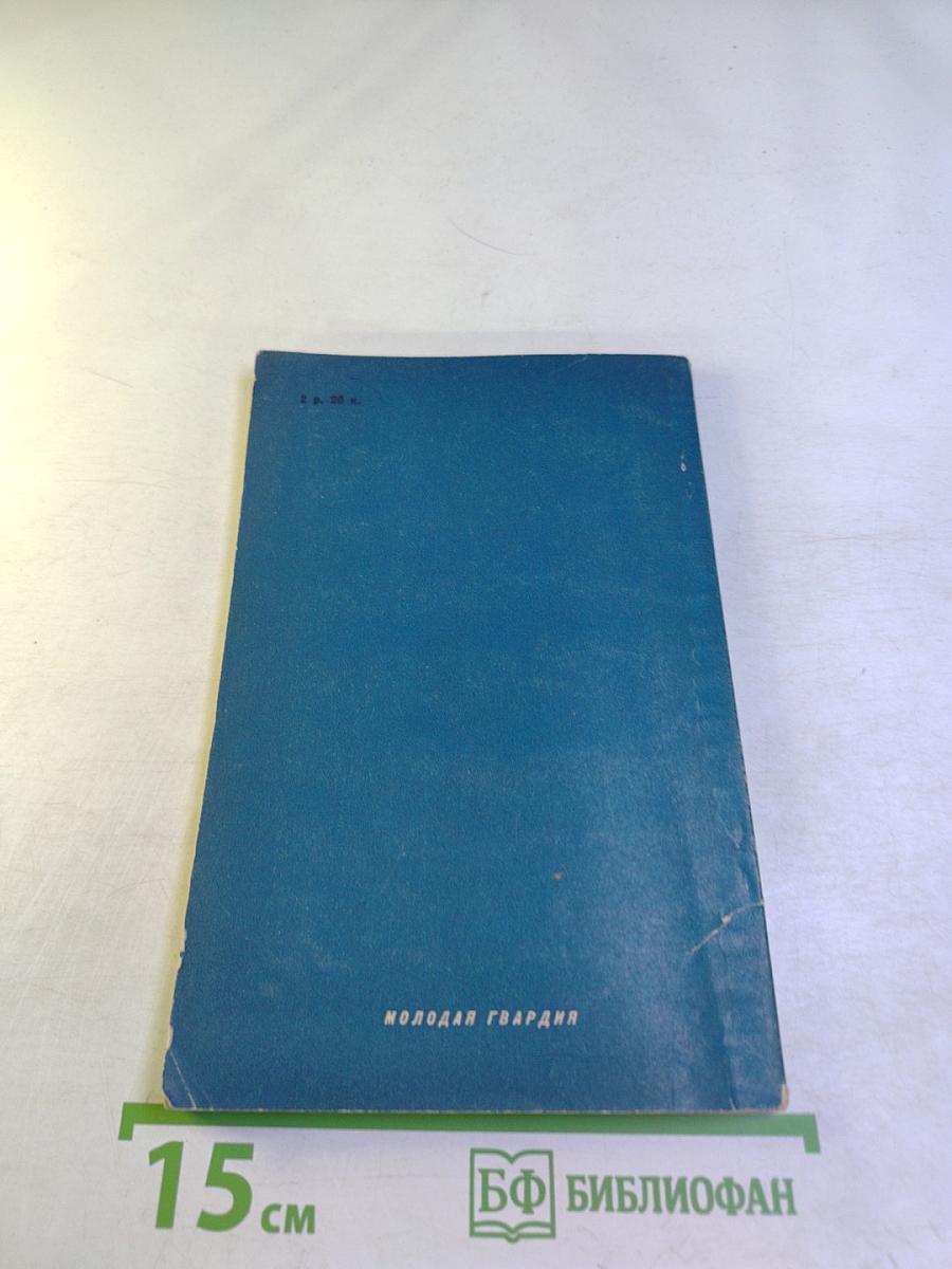 Серебряная кошка или путешествие по Америке