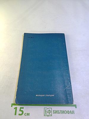 Серебряная кошка или путешествие по Америке