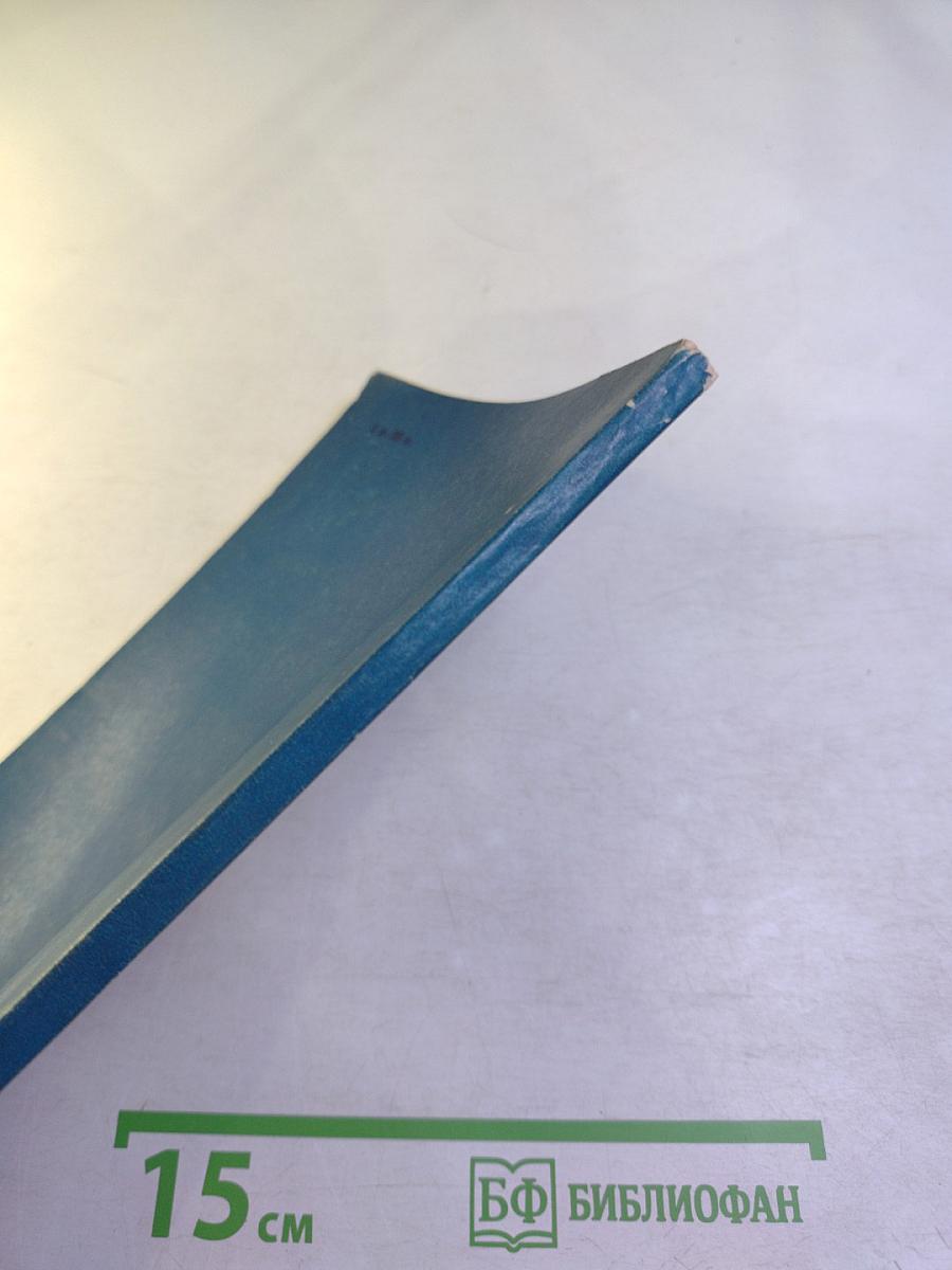 Серебряная кошка или путешествие по Америке