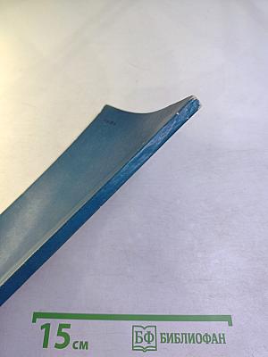 Серебряная кошка или путешествие по Америке