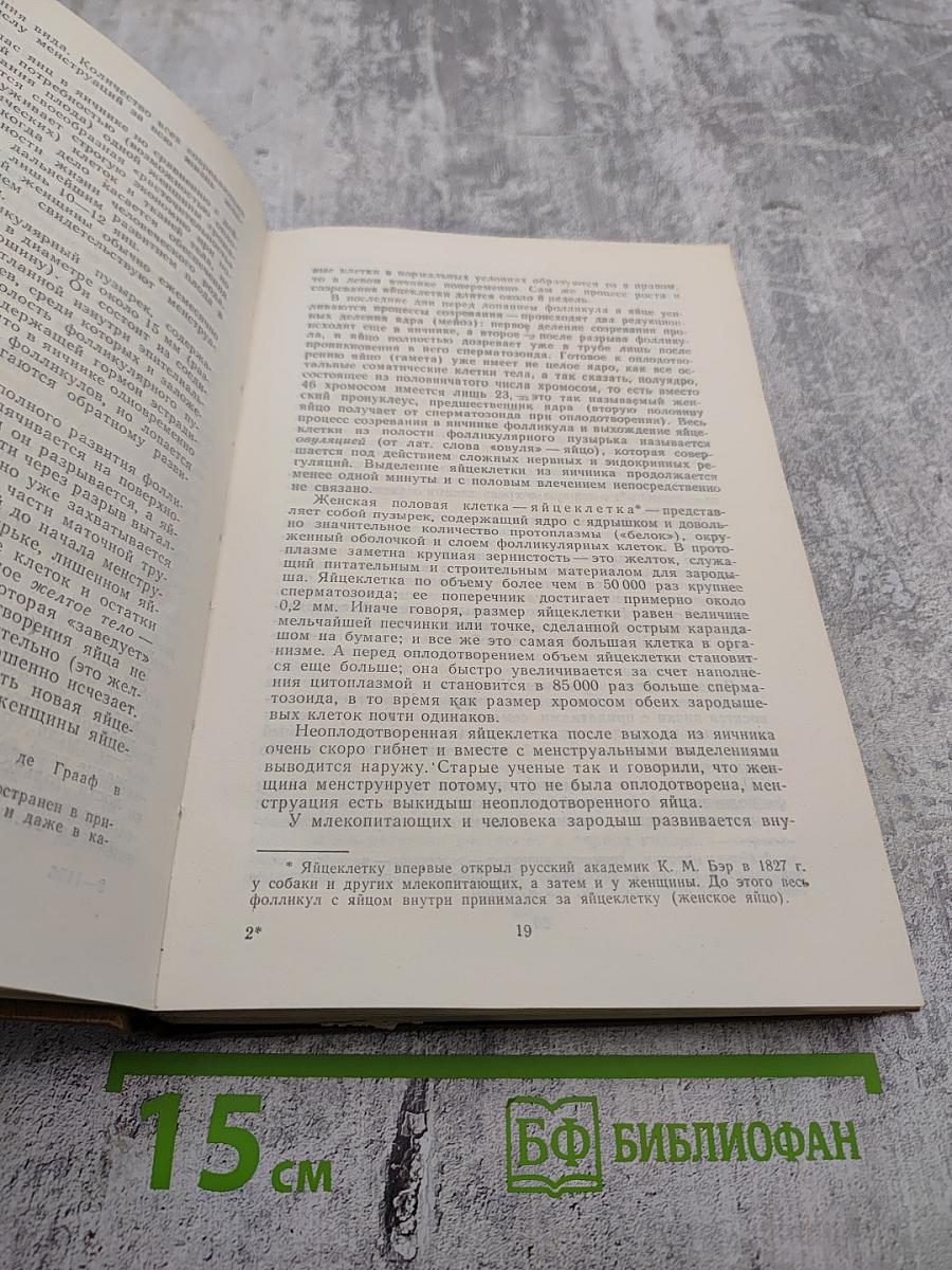Что надо знать до брака и в браке
