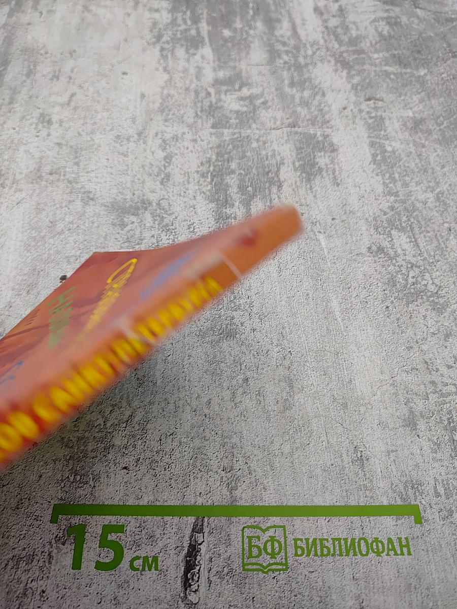 Ваш проводник в мире финансов Санкт-Петербурга