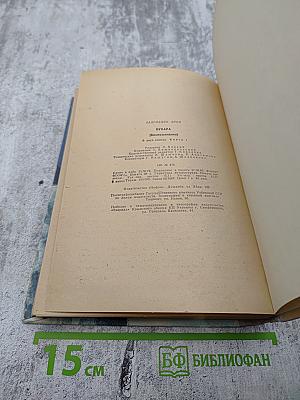 Бухара (Воспоминания). Книга 1