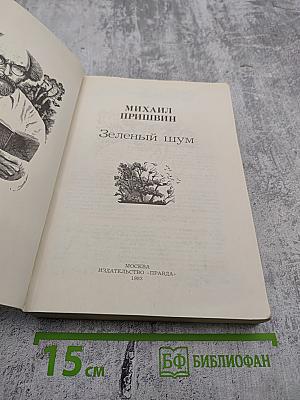 Зеленый шум