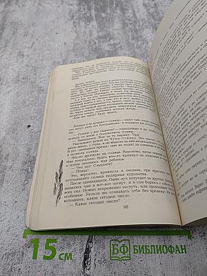 Зеленый шум