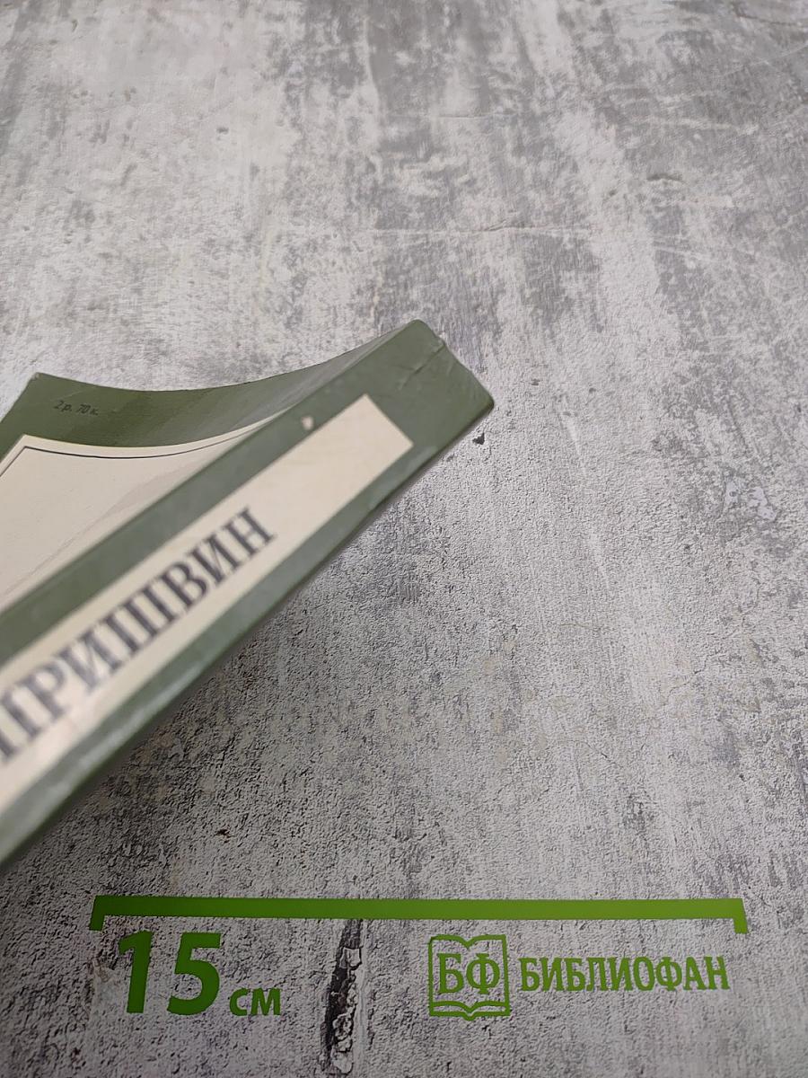 Зеленый шум