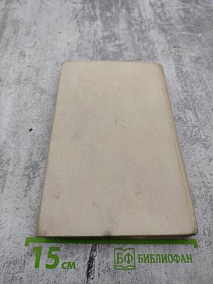 Повести и рассказы. В двух томах. Том второй. 1907-1919 гг.