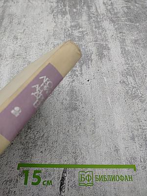 Повести и рассказы. В двух томах. Том второй. 1907-1919 гг.