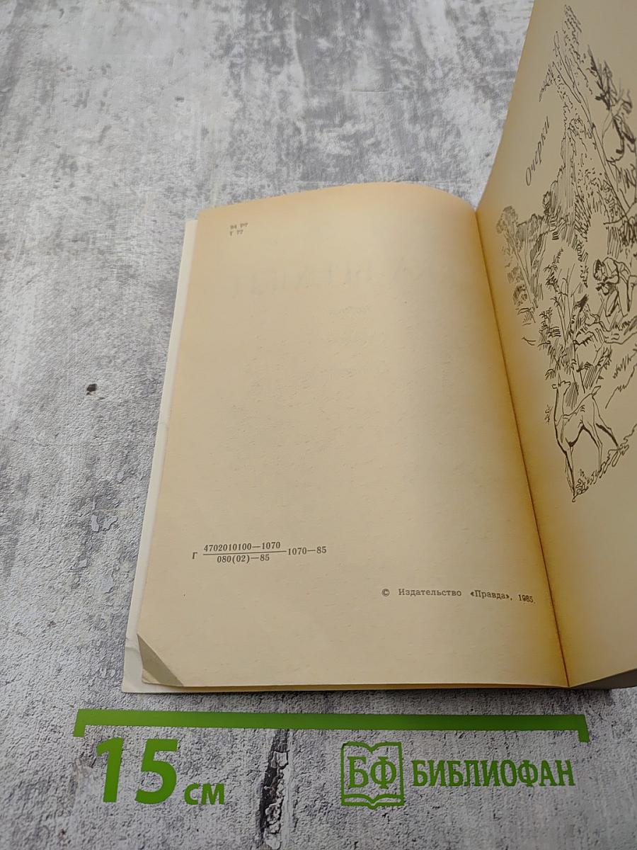 Река времен