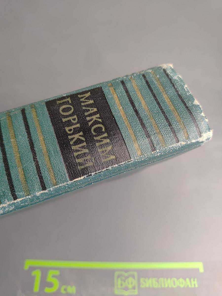 Избранные сочинения. Том 1: Рассказы, Очерки, Воспоминания, Пьесы