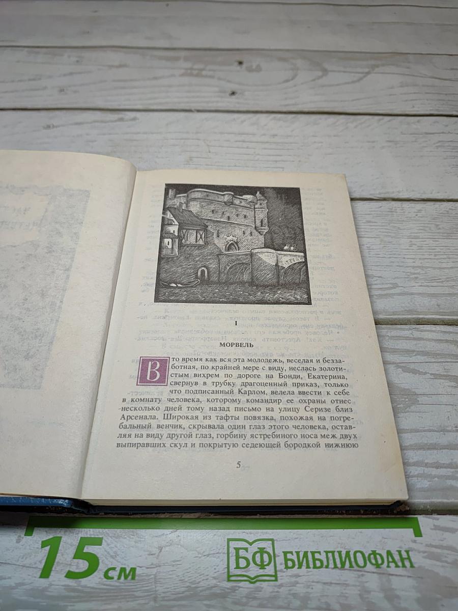 Королева Марго. Книга 2