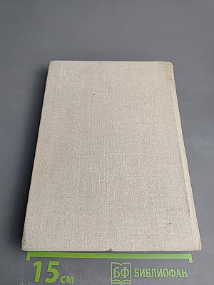 Увлекательный мир парусов