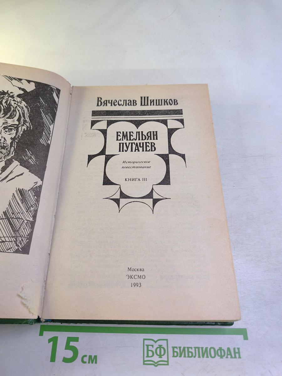 Емельян Пугачев. Книга III