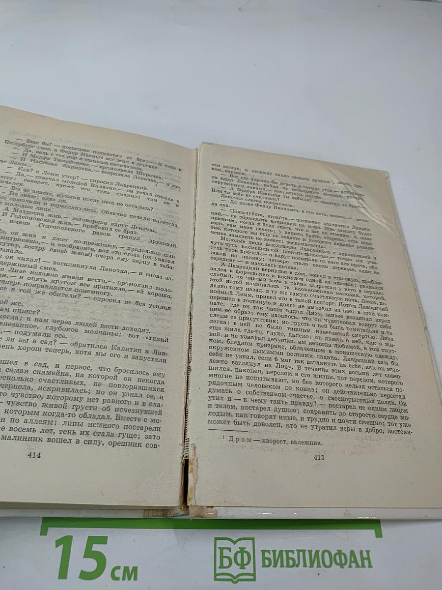 Отцы и дети, Рудин, Дворянское гнездо