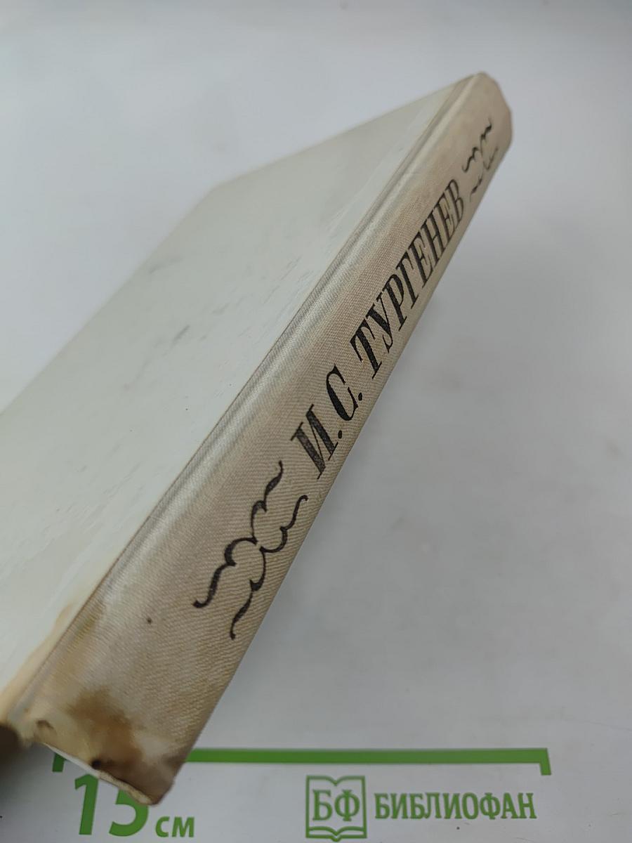 Отцы и дети, Рудин, Дворянское гнездо