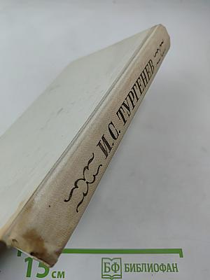 Отцы и дети, Рудин, Дворянское гнездо