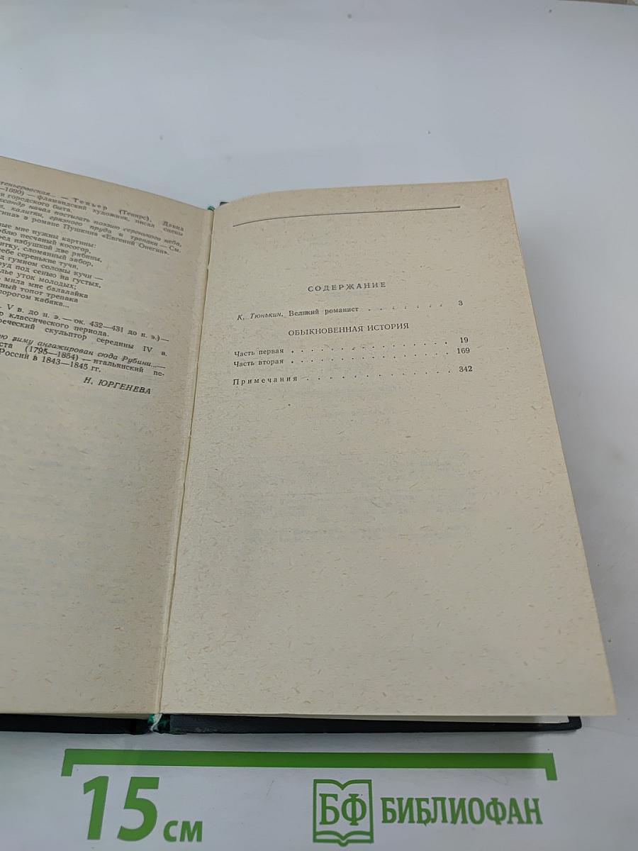 Обыкновенная история