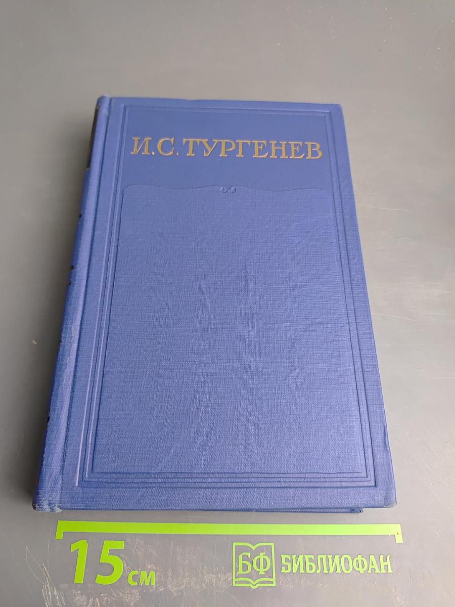 Письма. Том шестой. 1865-1867